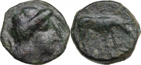 Sicily. Segesta. AE Tetras, c. 390-380 BC. Obv. Head of nymph Aigiste right. Rev. Hound standing right, head lowered. HGC 2 1200; CNS I 46. AE. 4.00 g...