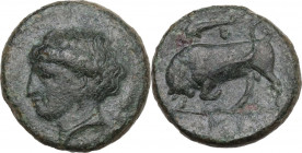 Sicily. Syracuse. Agathokles (317-289 BC). AE 17 mm, 317-289 BC. HGC 2 1489; CNS II 101; SNG Cop. 760. AE. 3.26 g. 15.50 mm. Good VF.