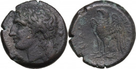 Sicily. Syracuse. Hiketas (287-278 BC). AE 24.5 mm, c. 287-278 BC. Obv. Laureate head of Zeus Hellanios left. Rev. Eagle standing left on thunderbolt....