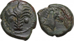 Punic Sardinia. AE 19.5 mm. c. 330-300 BC, uncertain mint. Obv. Palm tree with two clusters of dates and three branches on each side, one on top. Rev....