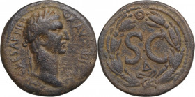 Nerva (96-98). AE 31-27 mm. Antiochia ad Orontem, Siria. Obv. Laureate head right. Rev. Large SC, Δ below; all within wreath. BMC 260; McAlee 421(d). ...