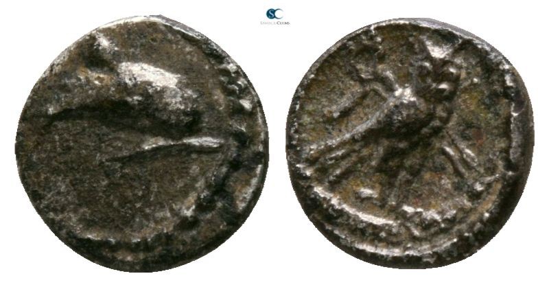 Phoenicia. Tyre. Uncertain king circa 393-311 BC. 
1/16 Shekel AR

6mm., 0,41...