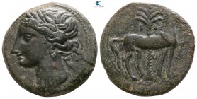 Zeugitania. Carthage circa 264-201 BC. Shekel Æ