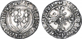 BRETAGNE, duché
François II (1458-1488) : Blanc d'argent à l'écu
 R - TTB 35 (TTB)
Assez Rare !


B 136, DF 337, P 24-6, Jez 414
RENNES - ARGEN...