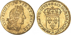 LOUIS XIV le Grand (1643-1715)
1/2 louis d'or à l'écu, mèches séparées
1693 E - SUP 53 (SUP-)
Très Rare !! - très belle réformation

DR 240, D 14...