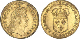 LOUIS XIV le Grand (1643-1715)
1/2 louis d'or à l'écu, mèches groupées
1691 Li. - SUP 50 (SUP-)
Très Rare !! - lég. traces cerclage


DR 241, D ...