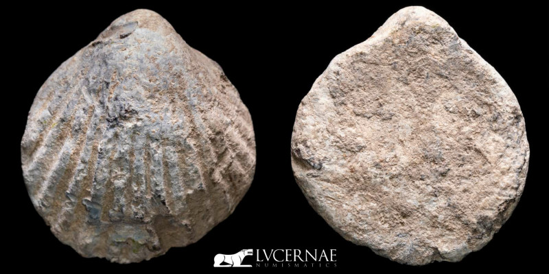 Roman Republic - Lead Formatum pre-coin cockle shell form (47,86 g. 31 mm.). 

C...
