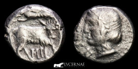 Neapolis Silver Obol 0.87 g. 9 mm. Campania 395-385 BC nEF