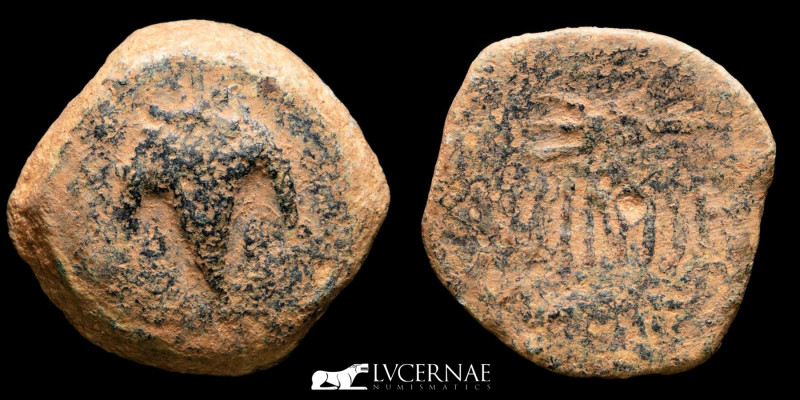 Ancient Hispania - Acinipo (Ronda, Málaga), bronze As (9.23 g., 24 mm.). 100-50 ...
