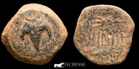 Acinipo bronze As 9.23 g., 24 mm. Málaga 150-50 B.C. Fine