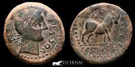 Castulo  Bronze Semis 12.67 g., 26 mm. Linares, Jaén 100-50 B.C.  Good very fine