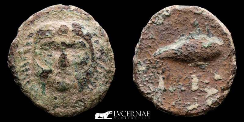 Ancient Hispania - Gades (actual Cádiz)
Bronze half calco (4.69 g. 20 mm.), mint...