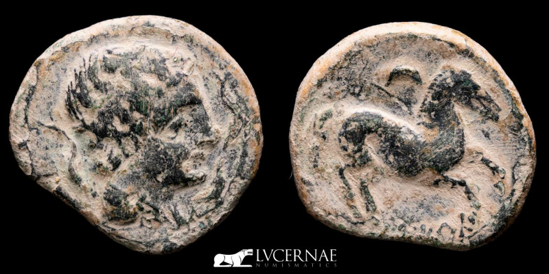 Ancient Hispania - Iltirta. Æ Semis. (5.17 g. 18 mm..)
200-20 a.C. Lleida (Catal...