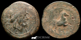 Sacili Bronze As 18.43 g.  34 mm. Sacili (Córdoba) 120-100 B.C Good fine
