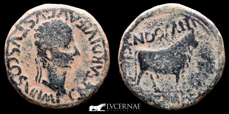 Roman Hispania - Augustus (27 B.C. - 14 A.D.)
Æ As (13.82 g., 30 mm ) of Lepida-...