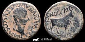 Hispania Augustus Æ Bronze As 13.82 g., 30 mm  Celsa Zaragoza 5-3 BC Good very fine