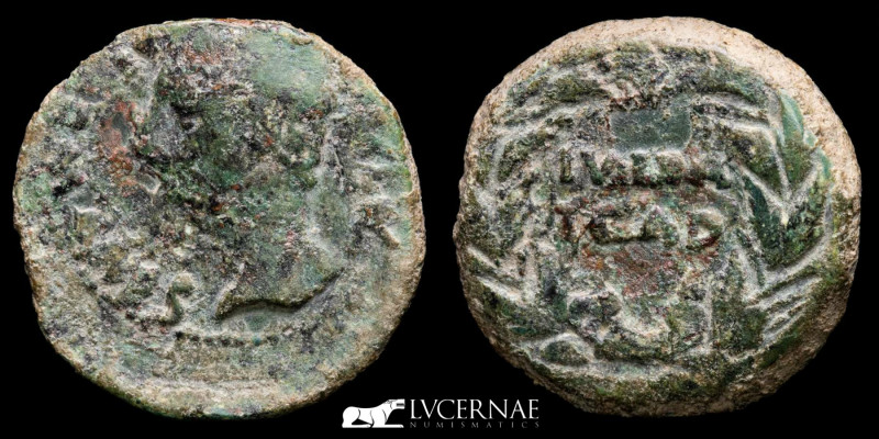 Roman Empire - Augustus (27 B.C.-14 A.D.)
Bronze As (9.55 g., 25 mm.) Julia Trad...