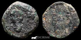 TIberius - Acci Bronze As 14,11 g., 28 mm. Guadix,Granada 14-19 A.D Good fine