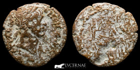 Roman Egypt, Trajan Bronze Tetradrachm  13,76 g. 32 mm. Alexandria 98-117 AD fine
