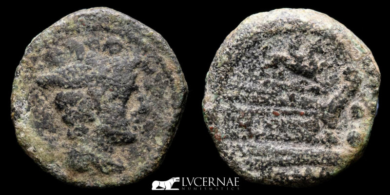 Roman Republic - Griffin series Æ Quadrans. Rome, 169-158 BC. 

Head of Mercury ...