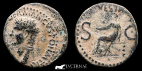 Caligula Bronze As 10.54 g., 26 mm. Rome 37-38 A.D. gVF