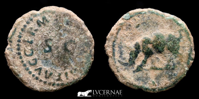 Roman Empire - Domitian (81-96)
Bronze quadrans (2.58 g., 18 mm.), minted in Rom...