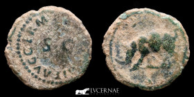 Domitian Bronze Quadrans 2.58 g., 18 mm. Rome 84-85 A.D. VF