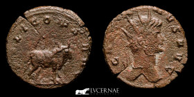 Scarce Gallienus Æ Bronze Antoninianus 3.38 g, 20 mm. Rome 253-268 A.D. Very Fine