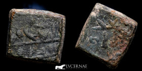 Cordoba Caliphate Bronze Dinar Weight 3.80 g., 10x12x4 mm. 913-1031 AD Good Very Fine