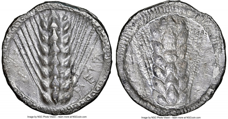 LUCANIA. Metapontum. Ca. 510-470 BC. AR stater (25mm, 6.79 gm, 12h). NGC (photo-...