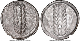 LUCANIA. Metapontum. Ca. 510-470 BC. AR stater (24mm, 7.36 gm, 12h). NGC Choice VF 5/5 - 3/5. META (on right, retrograde), barley ear with seven grain...