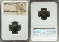 MACEDONIAN KINGDOM. Philip II (359-336 BC). AE unit (18mm, 7h). NGC Choice Fine. Uncertain mint in Macedonia. Head of Apollo right, wearing taenia / Φ...