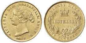 AUSTRALIA Vittoria (1837-1901) Sterlina 1866 - Fr. 10 AU (g 7,99) R
SPL+