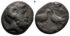 Macedon. Aphytis circa 430-390 BC. Bronze Æ