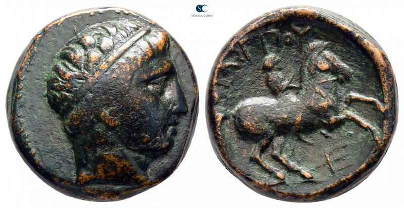 Kings of Macedon. Uncertain mint. Philip II of Macedon 359-336 BC. 
Bronze Æ
...