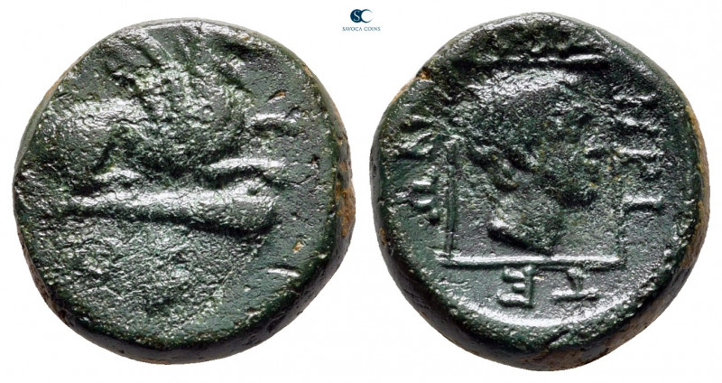 Thrace. Abdera circa 400-300 BC. 
Bronze Æ

15 mm, 3,21 g



very fine