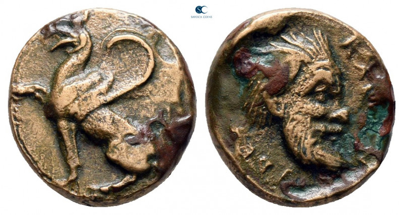 Thrace. Abdera circa 395-360 BC. 
Bronze Æ

12 mm, 1,95 g



very fine