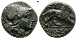 The Thracian Chersonese. Lysimacheia circa 245-225 BC. Bronze Æ