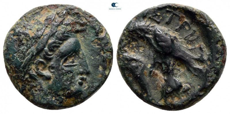 Moesia. Istrus circa 300-100 BC. 
Bronze Æ

16 mm, 3,32 g



very fine