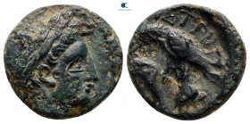 Moesia. Istrus circa 300-100 BC. Bronze Æ