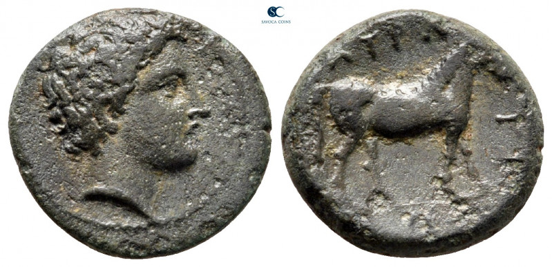 Thessaly. Atrax circa 360-340 BC. 
Bronze Æ

17 mm, 3,07 g



very fine