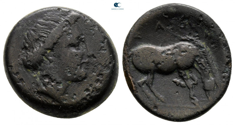 Thessaly. Larissa circa 400-350 BC. 
Bronze Æ

18 mm, 4,64 g



very fine...