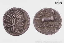 Römische Republik, Denar, M. Calidius, 117-116 v. Chr., 3,87 g, 19 mm, Cr. 284/1a, Syd. 539, erworben bei Münzhandlung R. Kaiser, Frankfurt, gutes seh...