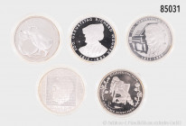 Konv. 22 x 10-Euro-Gedenkmünzen, dazu 10 DM 1993, 1000 Jahre Potsdam, verkapselt, Stempelglanz, Kapseln teilweise geöffnet oder beschädigt, aus Abo-Be...