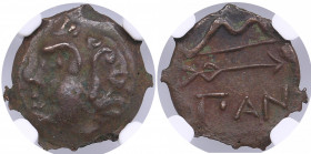 Bosporus, Panticapaeum Æ15 4th - 3rd Centuries BC - NGC Ch VF
Beautiful dark brown color toning.