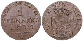 Germany, Prussia 1 Pfennig 1837 A - Friedrich Wilhelm III (1797-1840)
1.47g. AU/AU