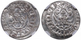 Riga, Poland solidus 1618 - Sigismund III (1587-1632) - NGC MS 65
Only one specimen have been certified finer by NGC. Magnificent lustrous specimen. H...