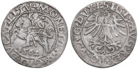Poland-Lithuania 1/2 grosz 1562 - Sigismund II Augustus (1545-1572)
1.12g. VF/VF