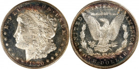 1880-S Morgan Silver Dollar. MS-64 DMPL (ANACS). OH.
PCGS# 97119. NGC ID: 2544.
Estimate: $ 250