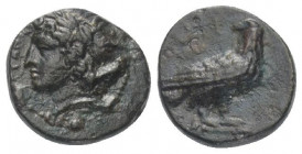 Sizilien. Akragas.

 Bronze. Ca. 287 - 282 v. Chr.
Vs: Kopf des bartlosen Zeus Hellanios mit Lorbeerkranz links 
Rs: Adler nach rechts stehend, Ko...